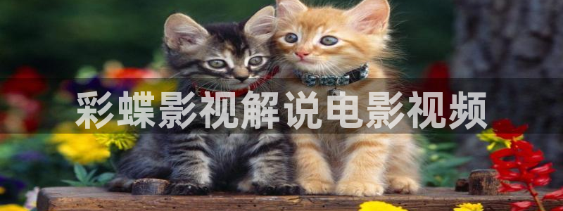 樱桃电视剧视频在线观看下载