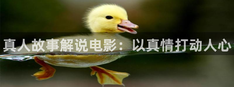 樱桃视频直播大全