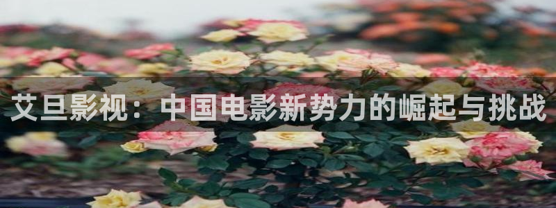狗狗樱桃眼手术视频