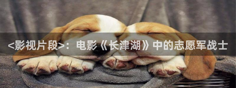 樱桃视频一级带