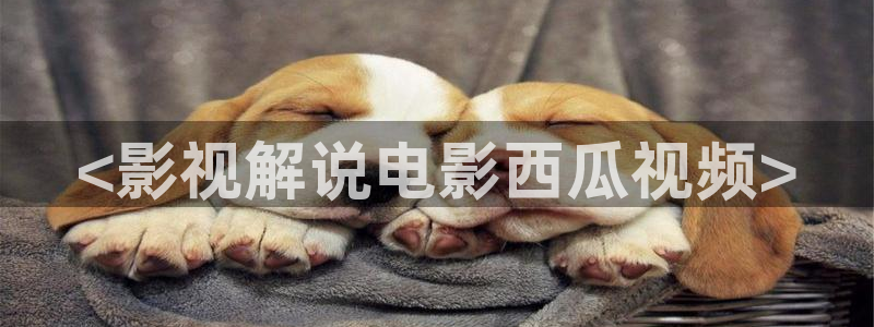 樱桃视频直播免费观看