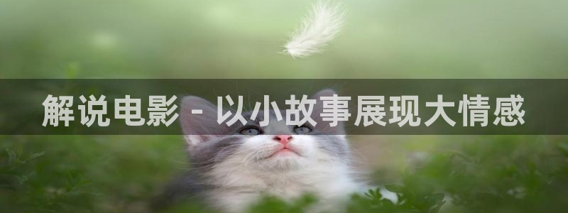 樱桃视频yingtao2