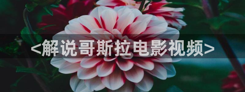 樱桃视频啊啊啊