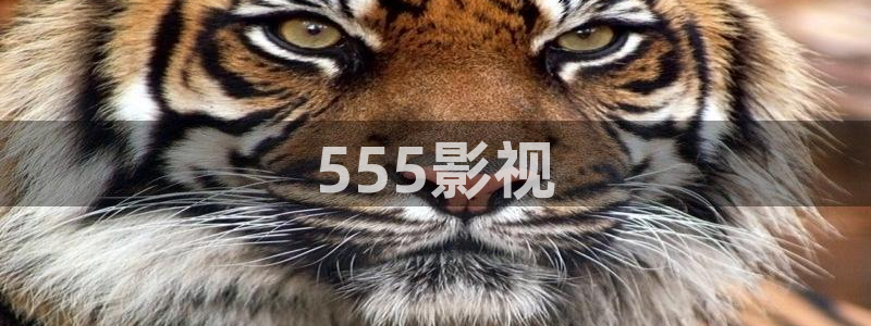 樱桃视频一对一