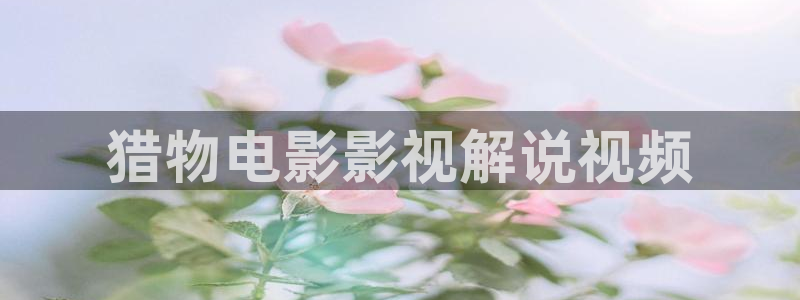 樱桃装箱视频教程