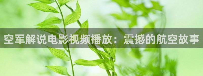 大樱桃樱桃