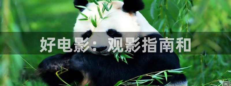 樱桃视频xyz
