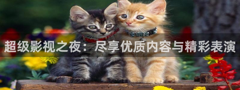 樱桃一级视频