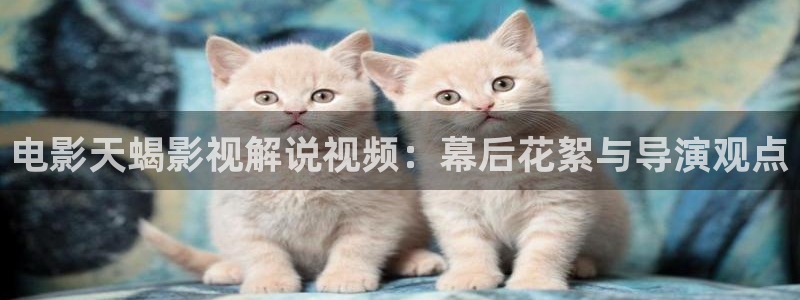 樱桃视频: