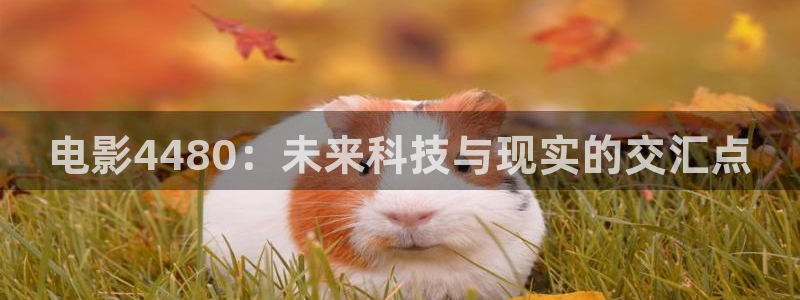 樱桃视频污软件