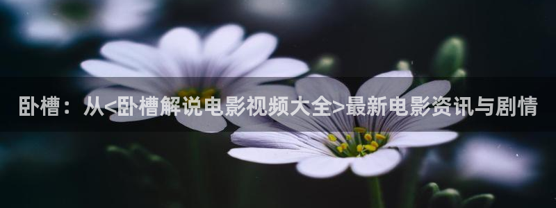 樱桃视频交友