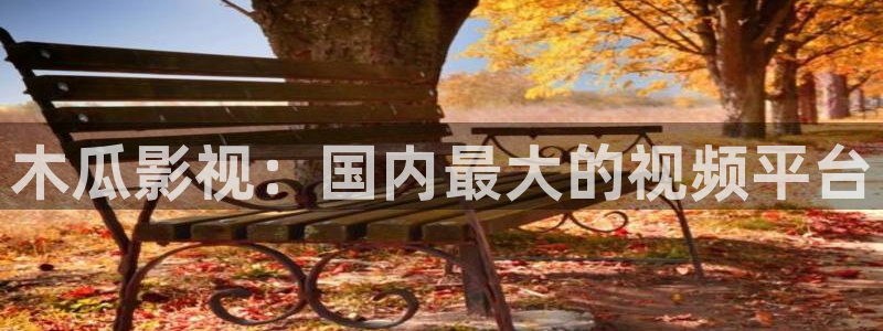 黄樱桃视频