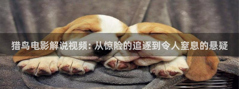 樱桃短视频官网：猎鸟电影解说视频: 从惊险的追逐到令人窒息的悬疑