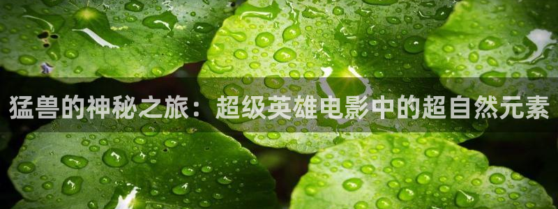 樱桃电视剧全集38