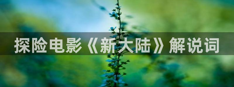 樱桃辽宁