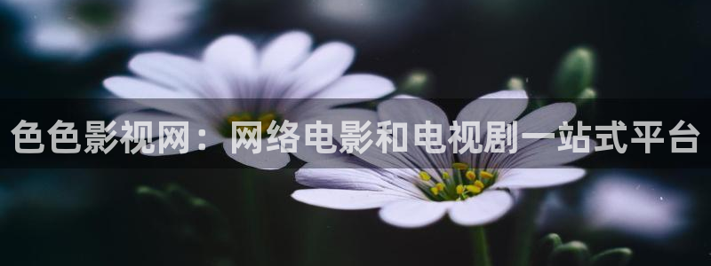 电视剧樱桃免费