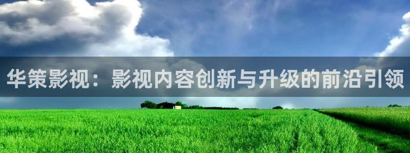 樱桃视频plus