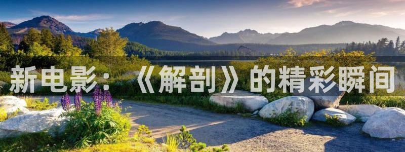 樱桃影院免费在线观看