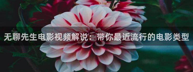 樱桃视频在线观看免费完整版