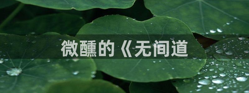 樱桃免费视