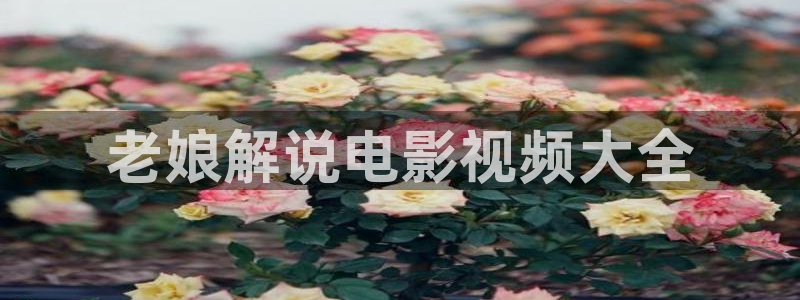 樱桃小视频亚洲：老娘解说电影视频大全