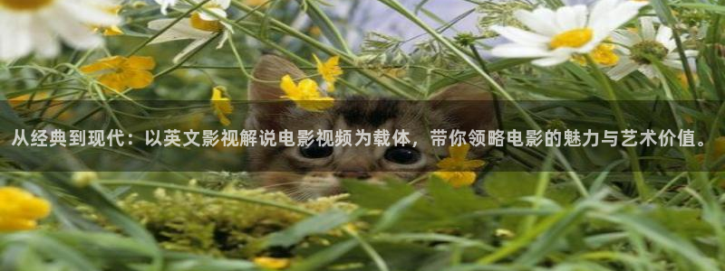樱桃红电视剧全集：从经典到现代：以英文影视解说电影视频为载体，带你领略电影的魅力与艺术价值。