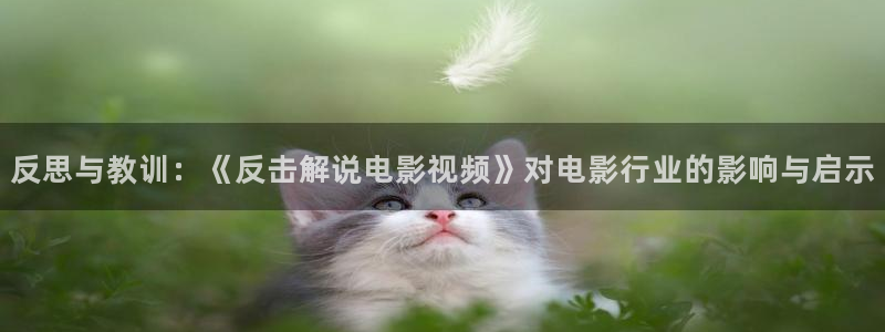 樱桃电视剧播放：反思与教训：《反击解说电影视频》对电影行业的影响与启示