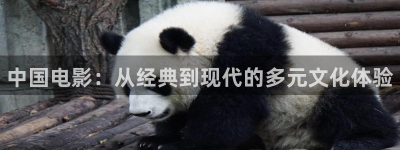 樱桃桃：中国电影：从经典到现代的多元文化体验